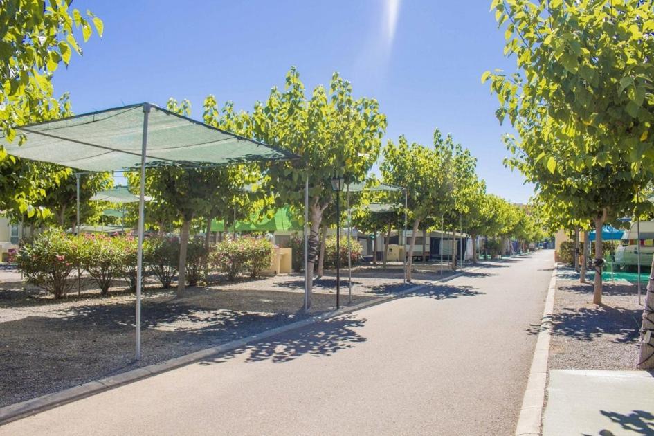 Camping Y Bungalows Monmar Moncófar Extérieur photo