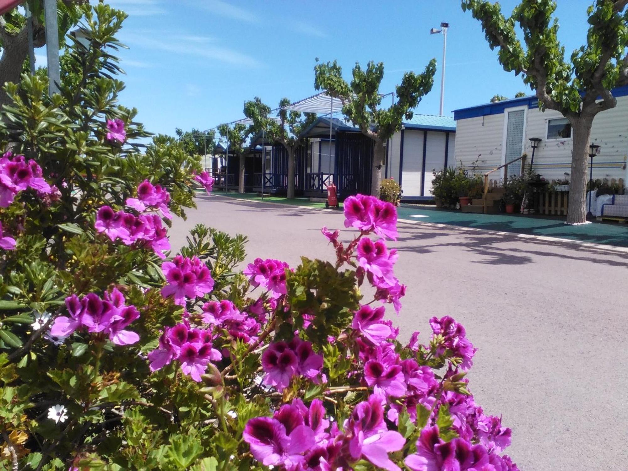 Camping Y Bungalows Monmar Moncófar Chambre photo