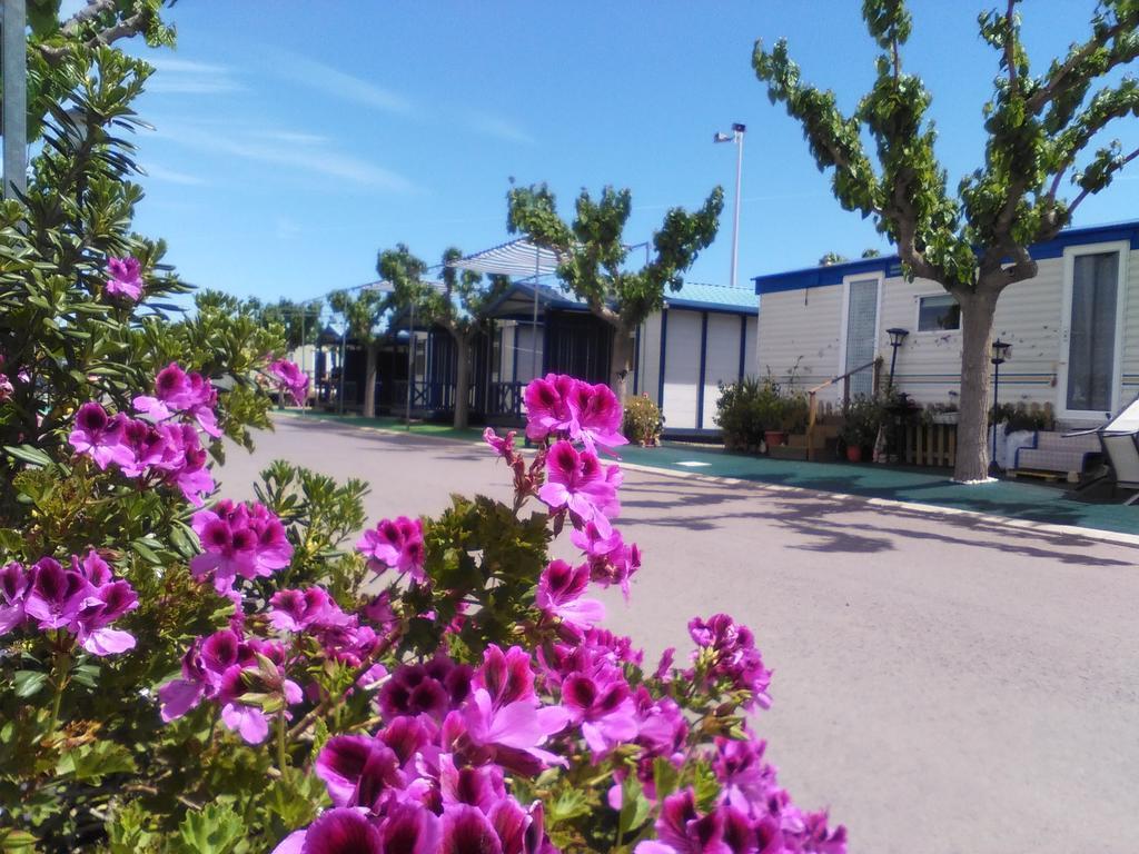 Camping Y Bungalows Monmar Moncófar Extérieur photo