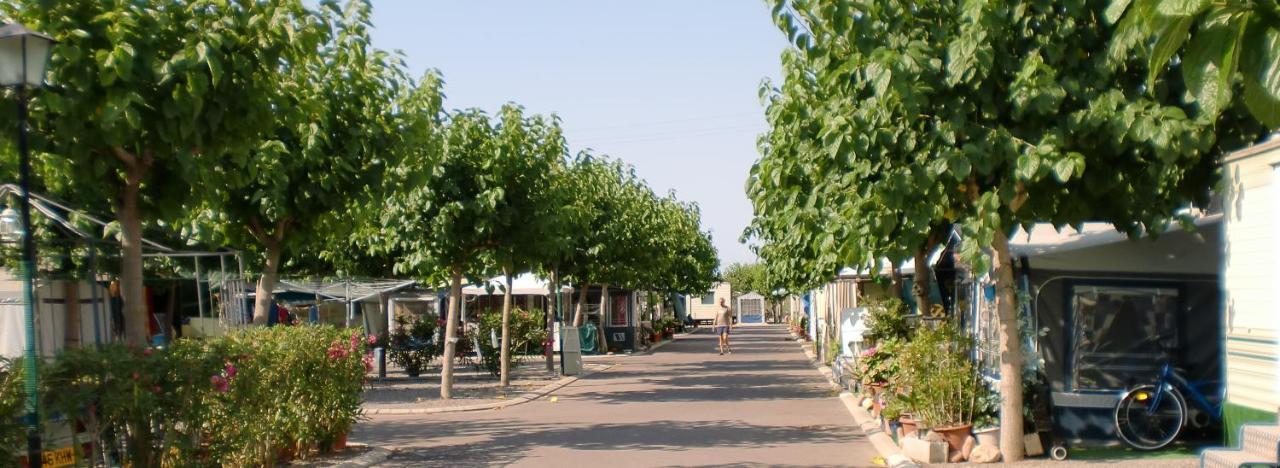 Camping Y Bungalows Monmar Moncófar Extérieur photo